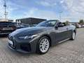 BMW 420 i Cabrio M Sport/LivePro/CarPlay/Driving/ACC/Parki Grau - thumbnail 14