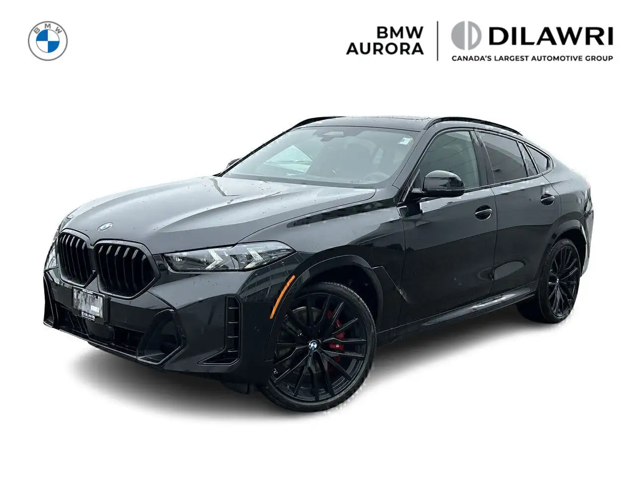 2026 BMW X6