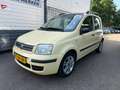 Fiat Panda 1.2 Exclusive |NIEUWE APK | Pano| Clima | Geel - thumbnail 3