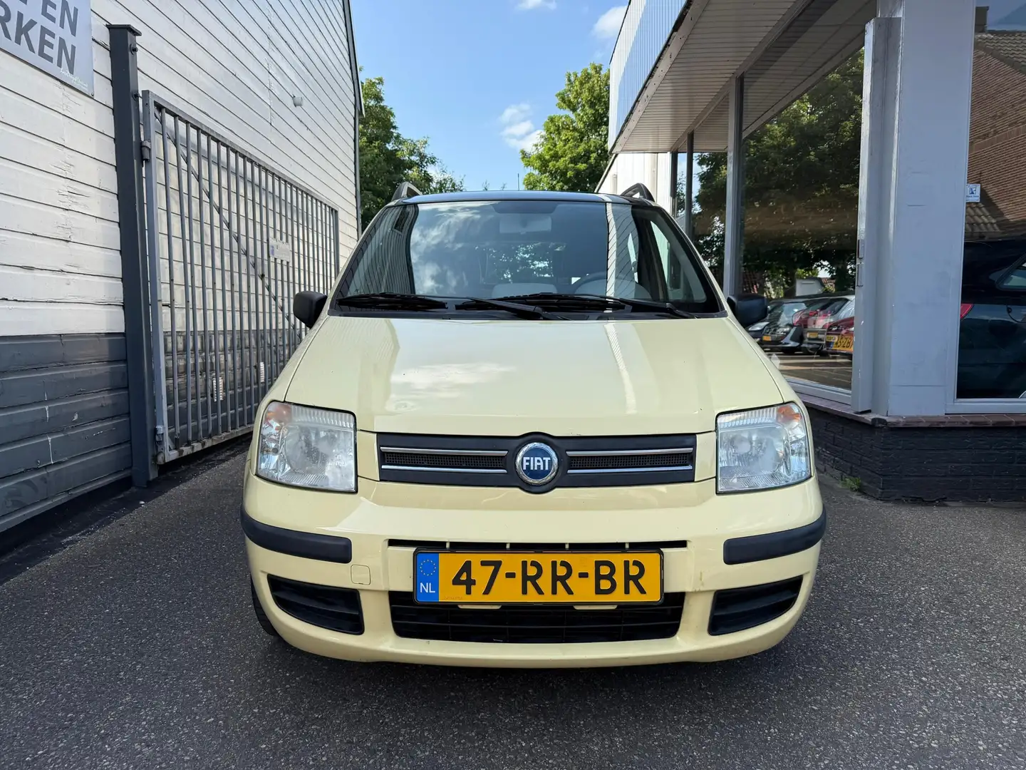Fiat Panda 1.2 Exclusive |NIEUWE APK | Pano| Clima | Geel - 2