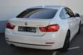 BMW 430 430 d Gran Coupé Sport Line*AUTOMATIK*LEDER* Weiß - thumbnail 2
