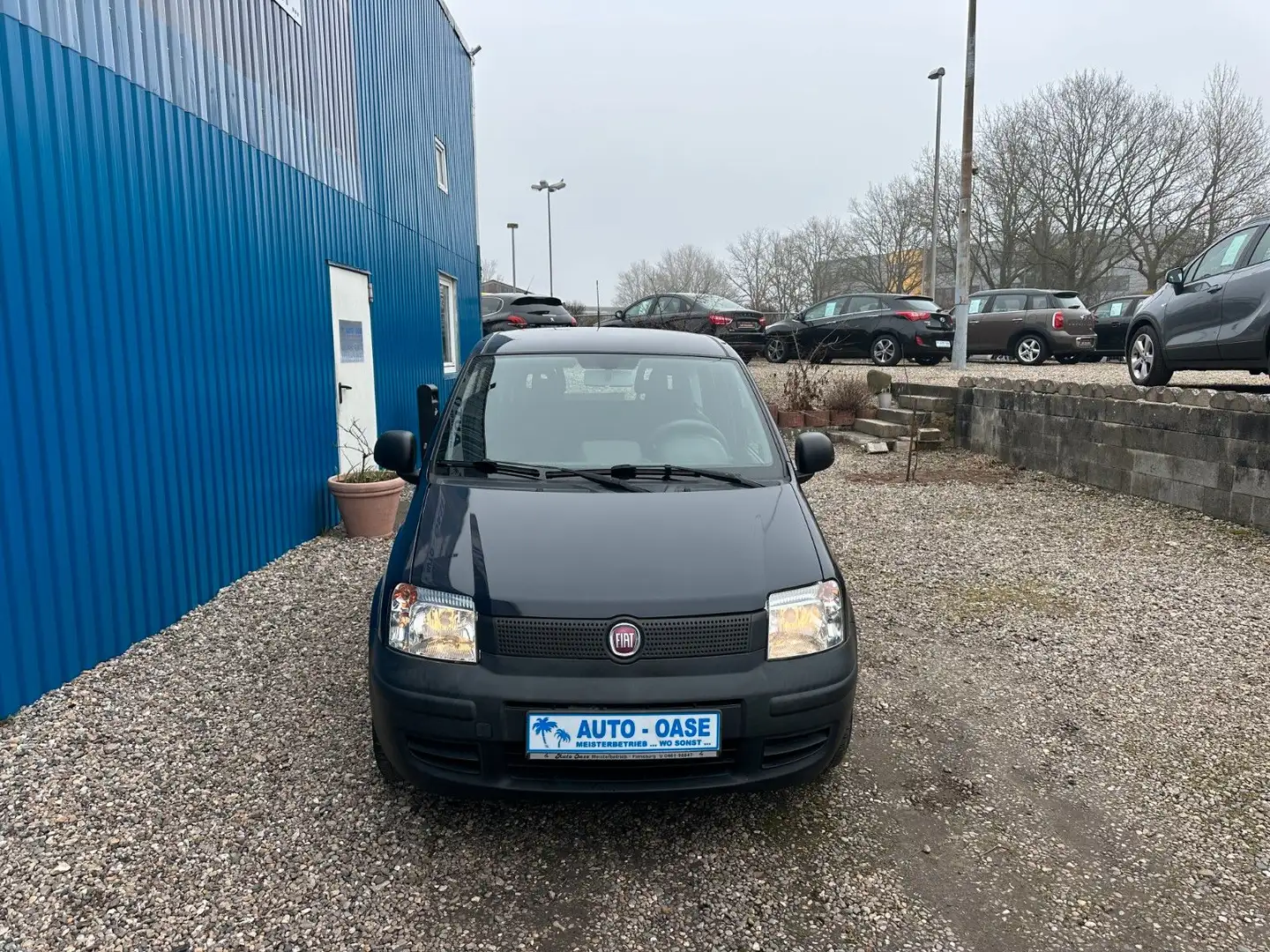 Fiat Panda 1.1 8V Active**Allwetter*HU&AU neu** Blau - 2