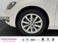 Volkswagen Golf VII Highline 1.4 TSI Navi+Xenon+PDC+SHZ+17''+Sport Weiß - thumbnail 22