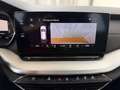 Skoda Octavia Combi 2,0 TDI Style DSG Weiß - thumbnail 14