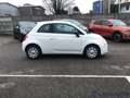 Fiat 500 500 1.0 HYBRID CULT Bianco - thumbnail 4
