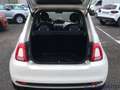 Fiat 500 500 1.0 HYBRID CULT Bianco - thumbnail 9