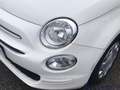 Fiat 500 500 1.0 HYBRID CULT Bianco - thumbnail 10