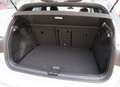 Volkswagen Golf 1.5 eTSI DSG  R-Line/Kamera/App-Connect/DAB+/ACC/ Blau - thumbnail 12