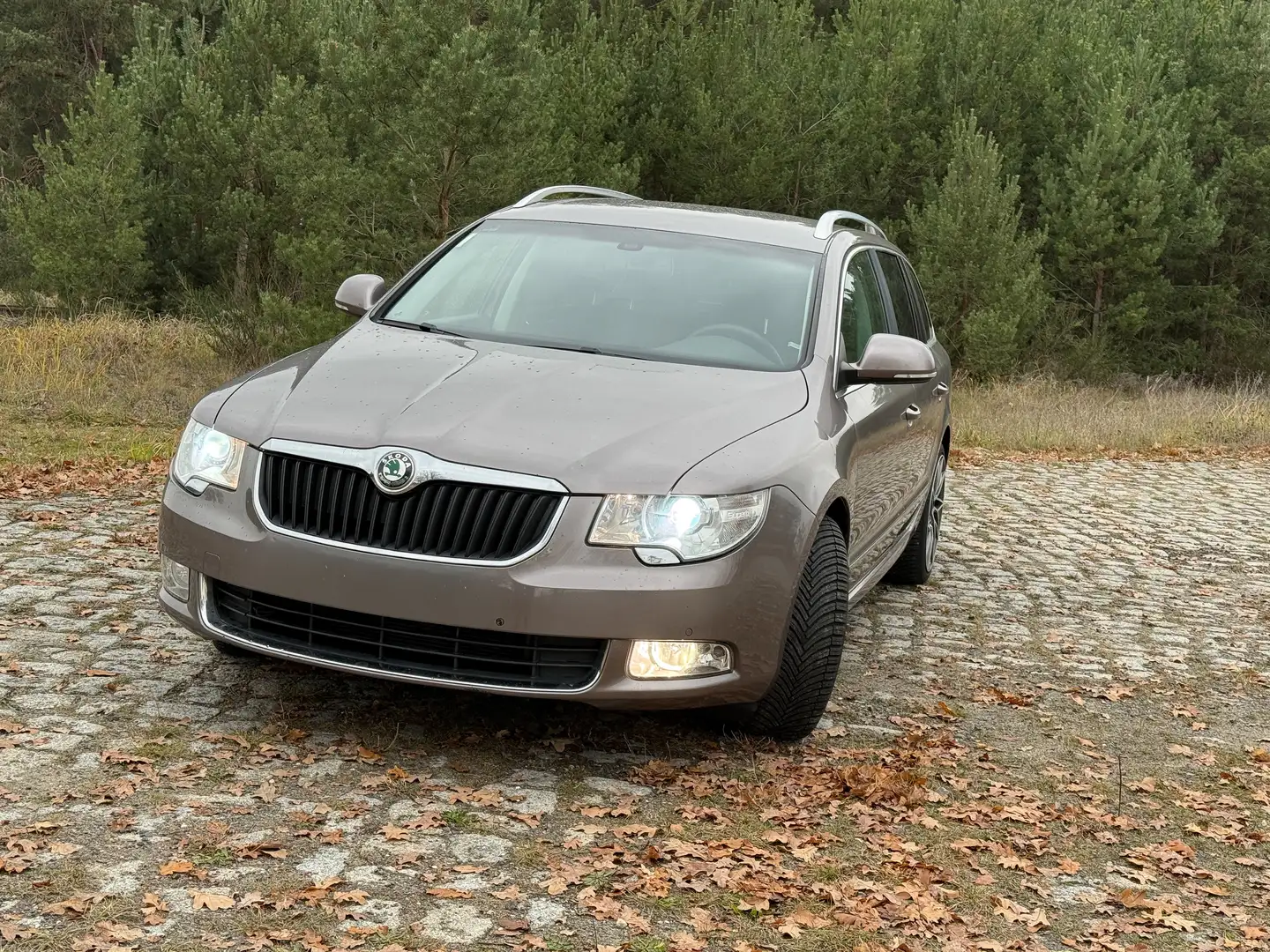 Skoda Superb Superb Combi 2.0 TDI Ambition Violett - 1