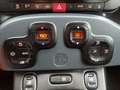 Fiat Panda Panda 1.0 firefly hybrid City Cross s&s 70cv 5p.ti Verde - thumbnail 14