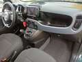 Fiat Panda Panda 1.0 firefly hybrid City Cross s&s 70cv 5p.ti Verde - thumbnail 12
