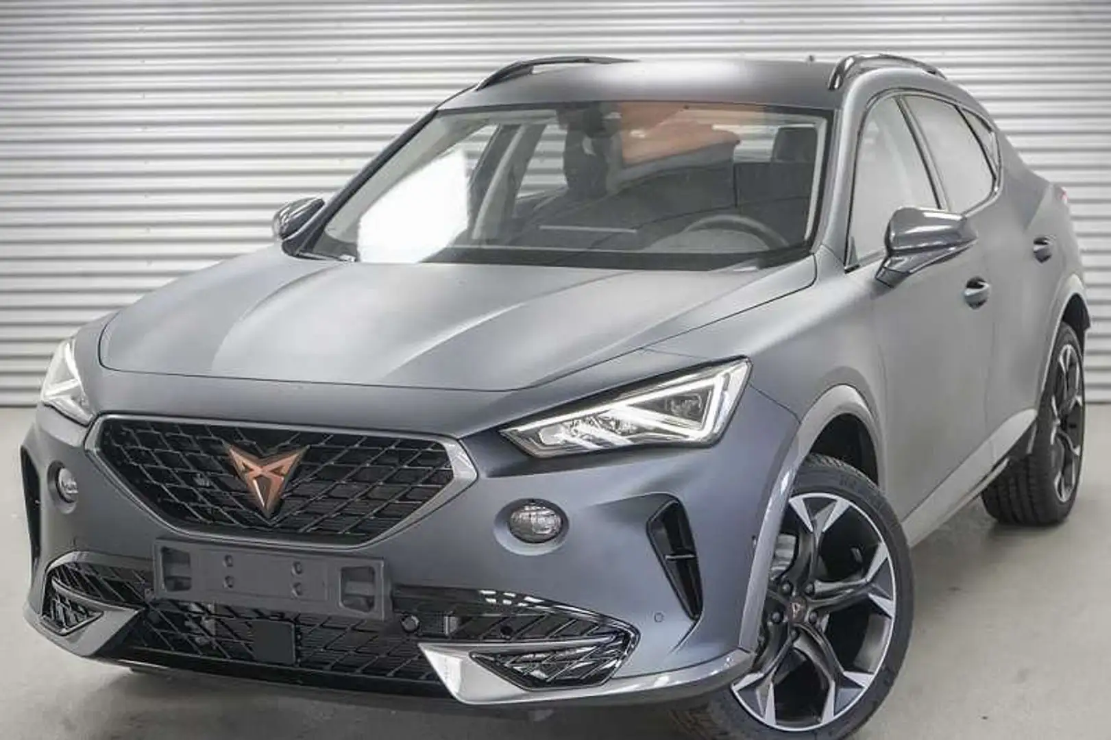 CUPRA Formentor 1,5 TSI DSG/ACC/Dig.Co./NAV Grau - 1