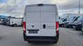 Fiat Ducato 2.3 L2H2 *Netto €12.491,-* Weiß - thumbnail 5