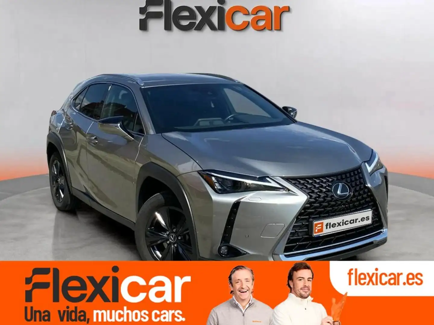 Lexus UX 250h 2.0 Business Amarillo - 1