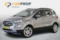 Ford EcoSport 1.0 EcoBoost Titanium 125 PK. Clima | Winter Pack Grijs - thumbnail 1