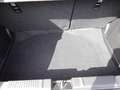 Suzuki Swift 1,2 Hybrid Allgrip Shine,"SOFORT VERFÜGBAR" !! Rot - thumbnail 9