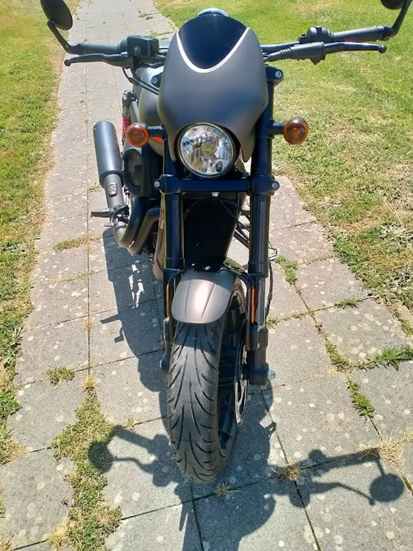 Harley-Davidson Street Rod siva - 2