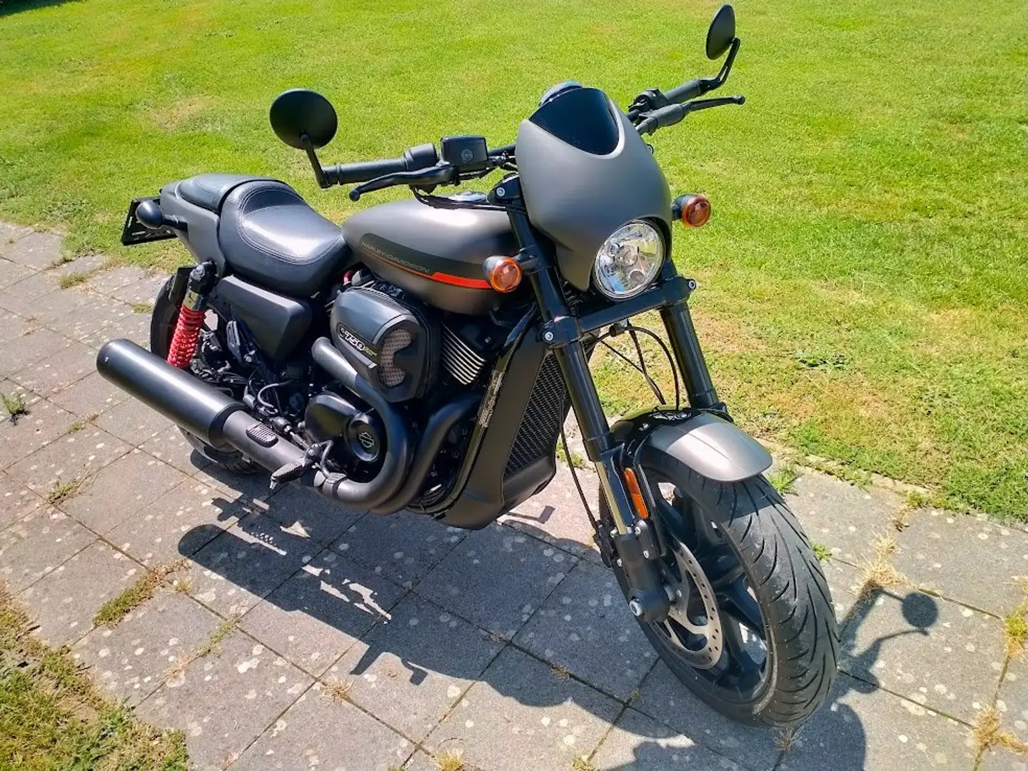 Harley-Davidson Street Rod siva - 1