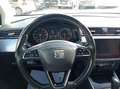 SEAT Arona 1.0 TSI 81 kW (110 CV) DSG 7 vel. Start/Stop Xcell Blu/Azzurro - thumbnail 10