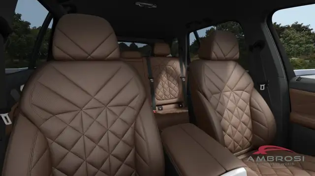 BMW X5 view 11