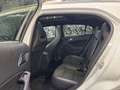 Mercedes-Benz GLA 200 D Premium Amg Bianco - thumbnail 10