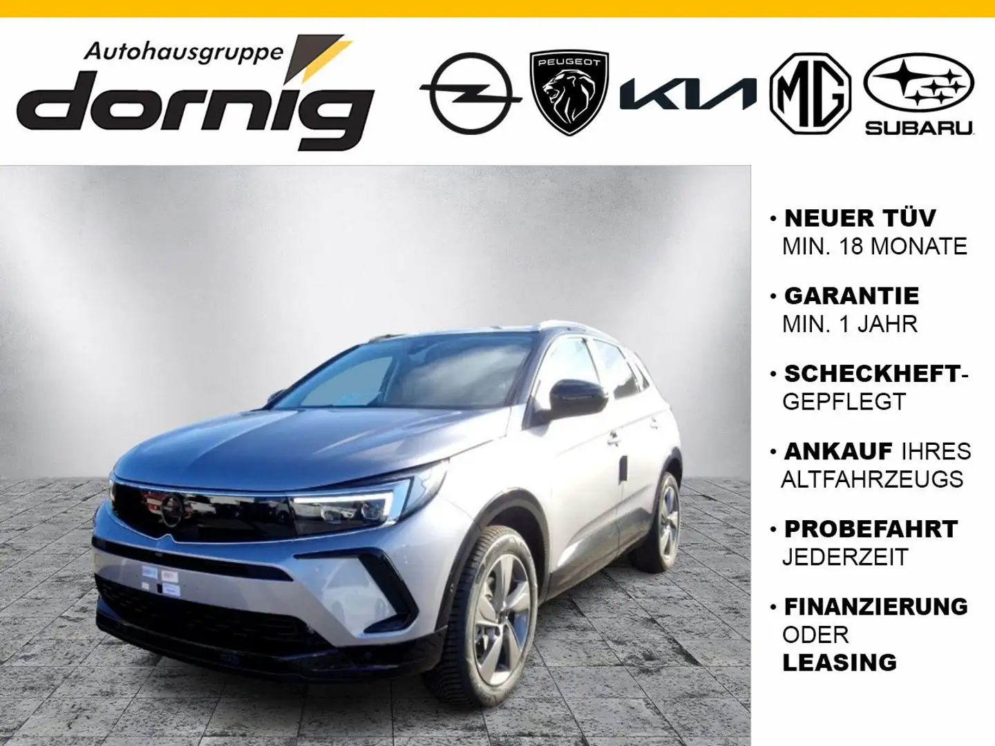 Opel Grandland X Grandland GS Infotainm. Allwetter *G* NP Silber - 1