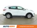 Kia Sportage 1.7 CRDi Gold 2WD Weiß - thumbnail 7
