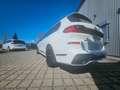 BMW X7 xDrive 40 d M Sport Vollaustg 23 Zoll 6 Sitze Alb - thumbnail 15