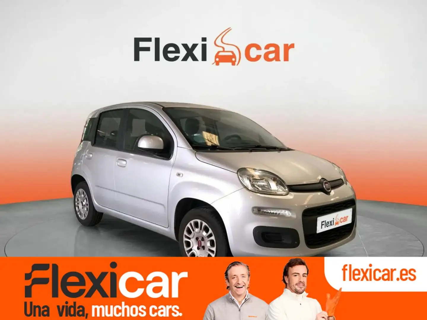Fiat Panda 1.2 Easy Gris - 1