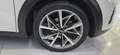 Kia Niro Niro  1.6 gdi hev Style dct Bianco - thumbnail 10