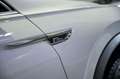 Volkswagen Tiguan Advance 2.0 TDI 110kW 150CV DSG Weiß - thumbnail 18
