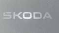 Skoda Karoq 2.0TDI AdBlue Sportline DSG 110kW Naranja - thumbnail 11