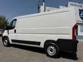 Fiat Ducato 33 L2H1 BlueHDi 103kW (140CV) Blanco - thumbnail 29