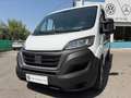 Fiat Ducato 33 L2H1 BlueHDi 103kW (140CV) Blanco - thumbnail 5