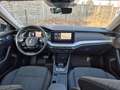 Skoda Octavia Style 2.0 TDI DSG Panoramadach Blau - thumbnail 17