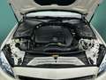 Mercedes-Benz C 300 C 300 AMG+NIGHT+DISTRO+360°+BURME+KEYL+AMBI+MLED Weiß - thumbnail 15