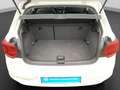 Volkswagen Polo 1.0 COMFORTLINE KLIMA PDC+ Bianco - thumbnail 15