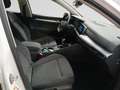 Volkswagen Golf Golf 1.0 TSI Life OPF Weiß - thumbnail 13