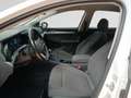 Volkswagen Golf Golf 1.0 TSI Life OPF Weiß - thumbnail 6