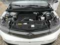 Opel Grandland GS Mildhybrid Automatik Tech Komfort-Paket Klimaau Weiß - thumbnail 14