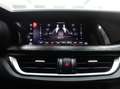 Alfa Romeo Stelvio 2.2 MJT 160 CV AT8 RW BUSINESS Blauw - thumbnail 20