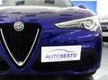 Alfa Romeo Stelvio 2.2 MJT 160 CV AT8 RW BUSINESS Blauw - thumbnail 10