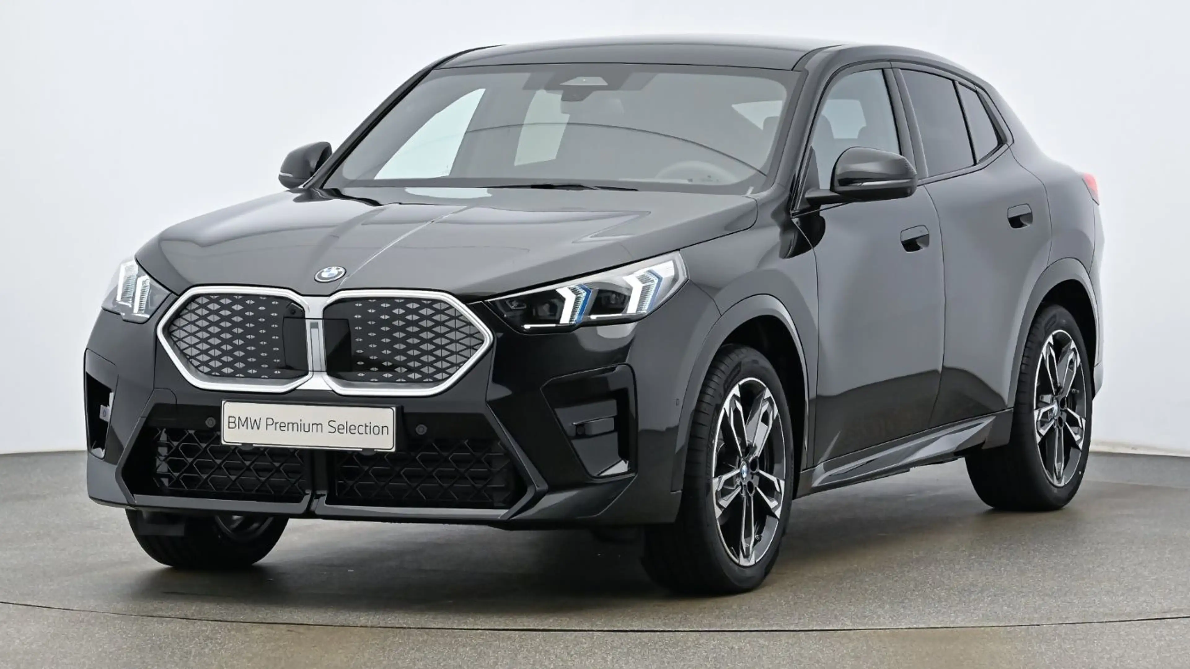 BMW iX2 eDrive 20 M-Sport xDrive KAM LED ACC HUD SHZ — photo 2