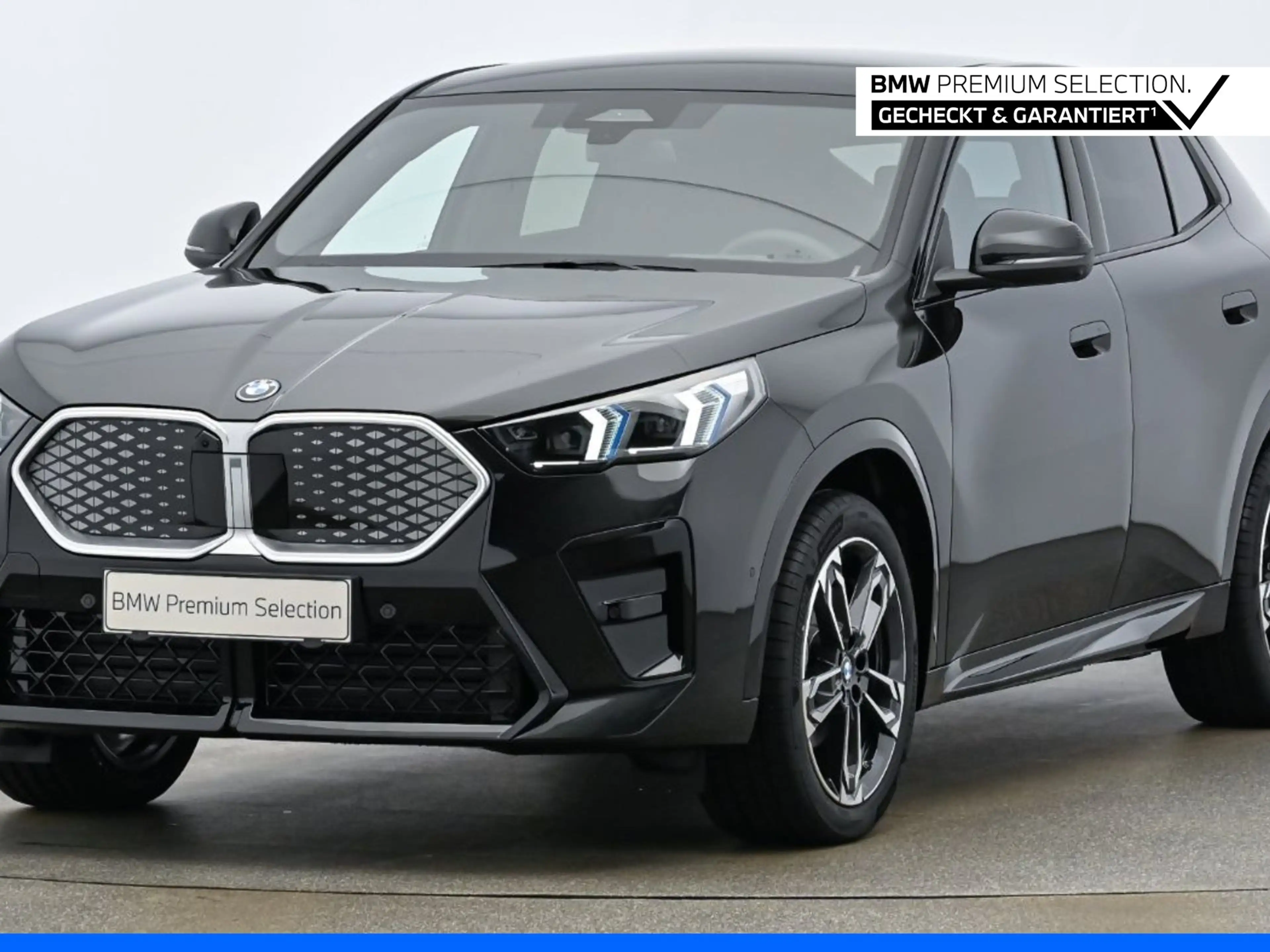 BMW iX2 eDrive 20 M-Sport xDrive KAM LED ACC HUD SHZ