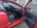 Skoda Fabia Selection Advanced 1.0 TSI 70 kW (95 CV) Manual 5 Rojo - thumbnail 7