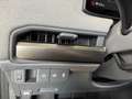 Kia Earth 81.4 WIC BUS UPG AHK Argento - thumbnail 16