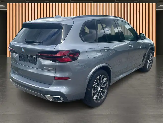 BMW X5 view 21