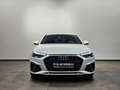 Audi A4 40 TFSI Q 2x S Line Matrix KameraStandheizung Blanc - thumbnail 4