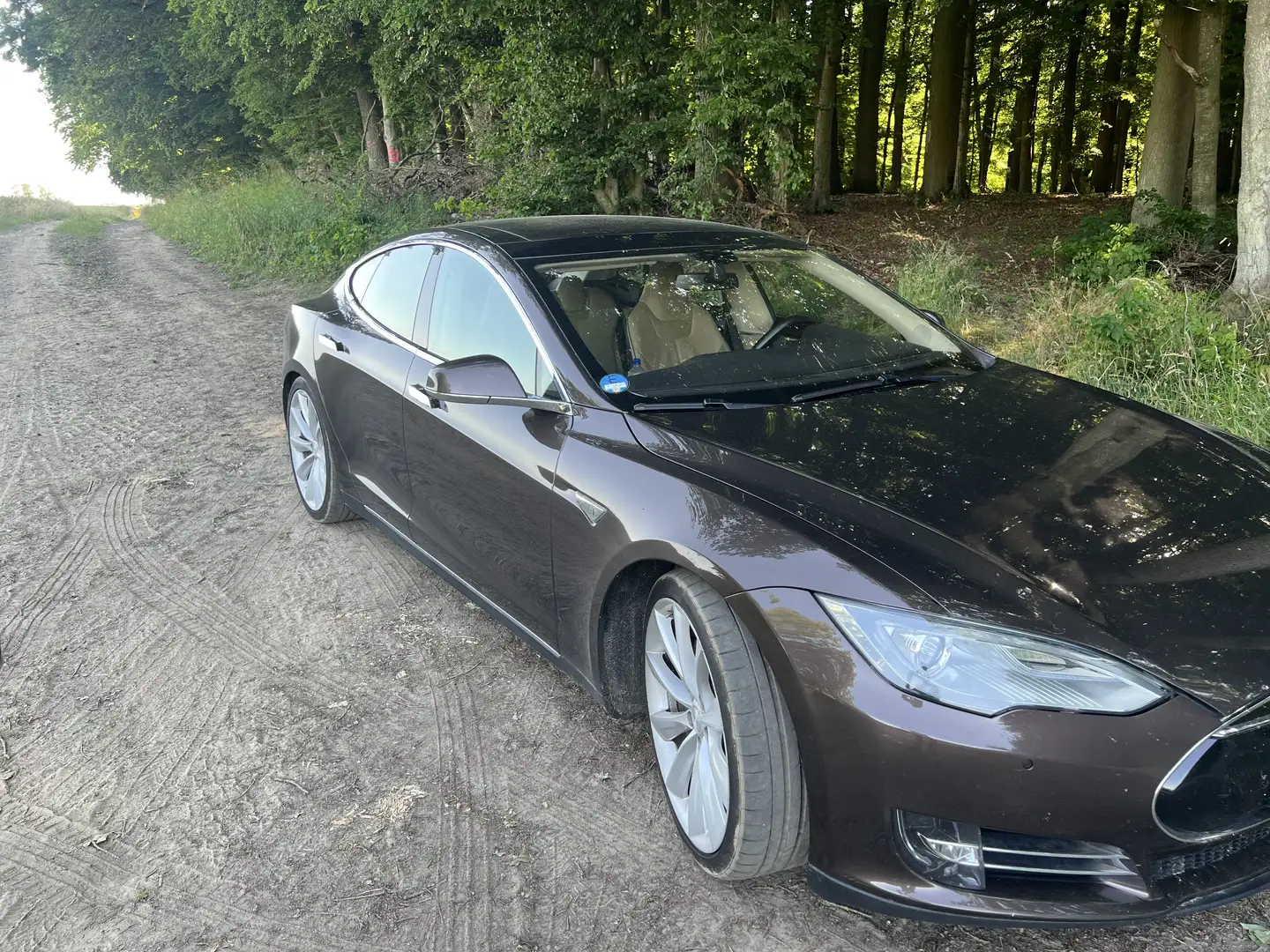 Tesla Model S Performance - 1
