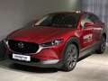 Mazda CX-30 Selection X-186/Design-P./Premium-P./Leder/Navi/He Rouge - thumbnail 1